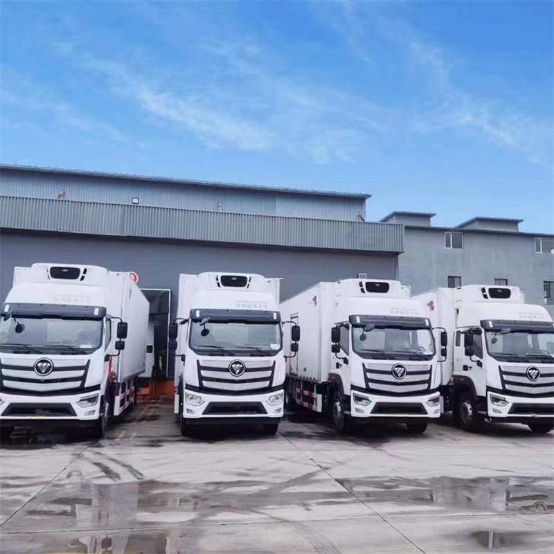 寻乌县新龙县进仓物流：多元专线直达运输探秘